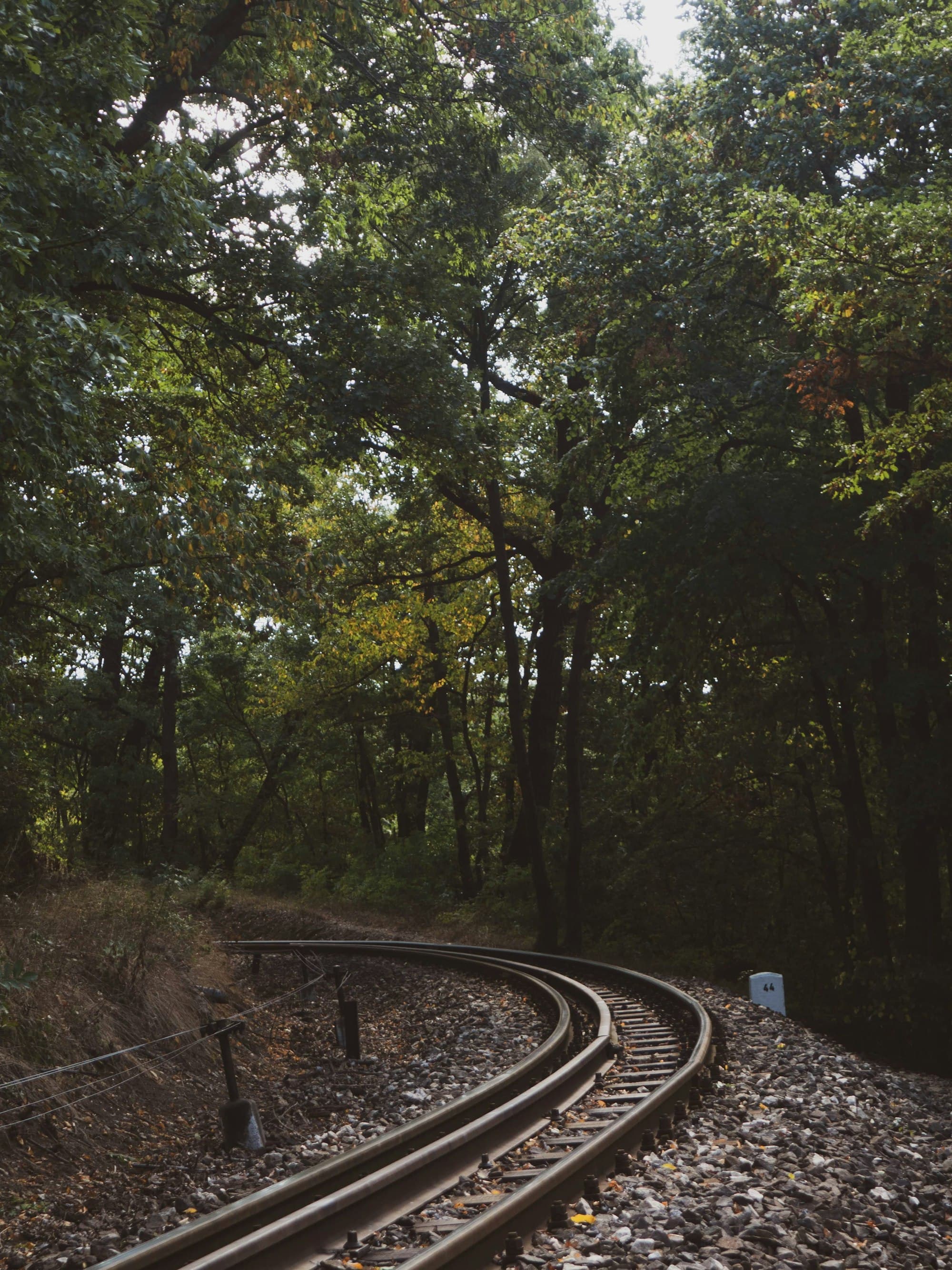 Train tracks disappearing into a dense woodland, the rails green with age and overgrown at the edges, light filtering through the trees.