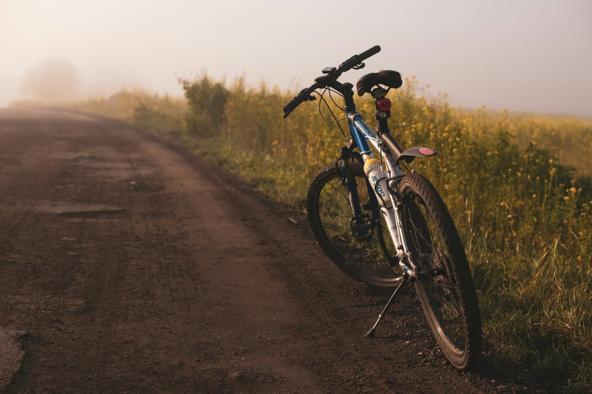 A bicycle resting against a dirt road in open country terrain, no rider visible, late-season light falling across the track.