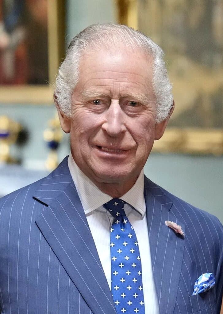 Formal head-and-shoulders portrait of King Charles III in a dark suit and tie, looking slightly off-camera against a plain background.