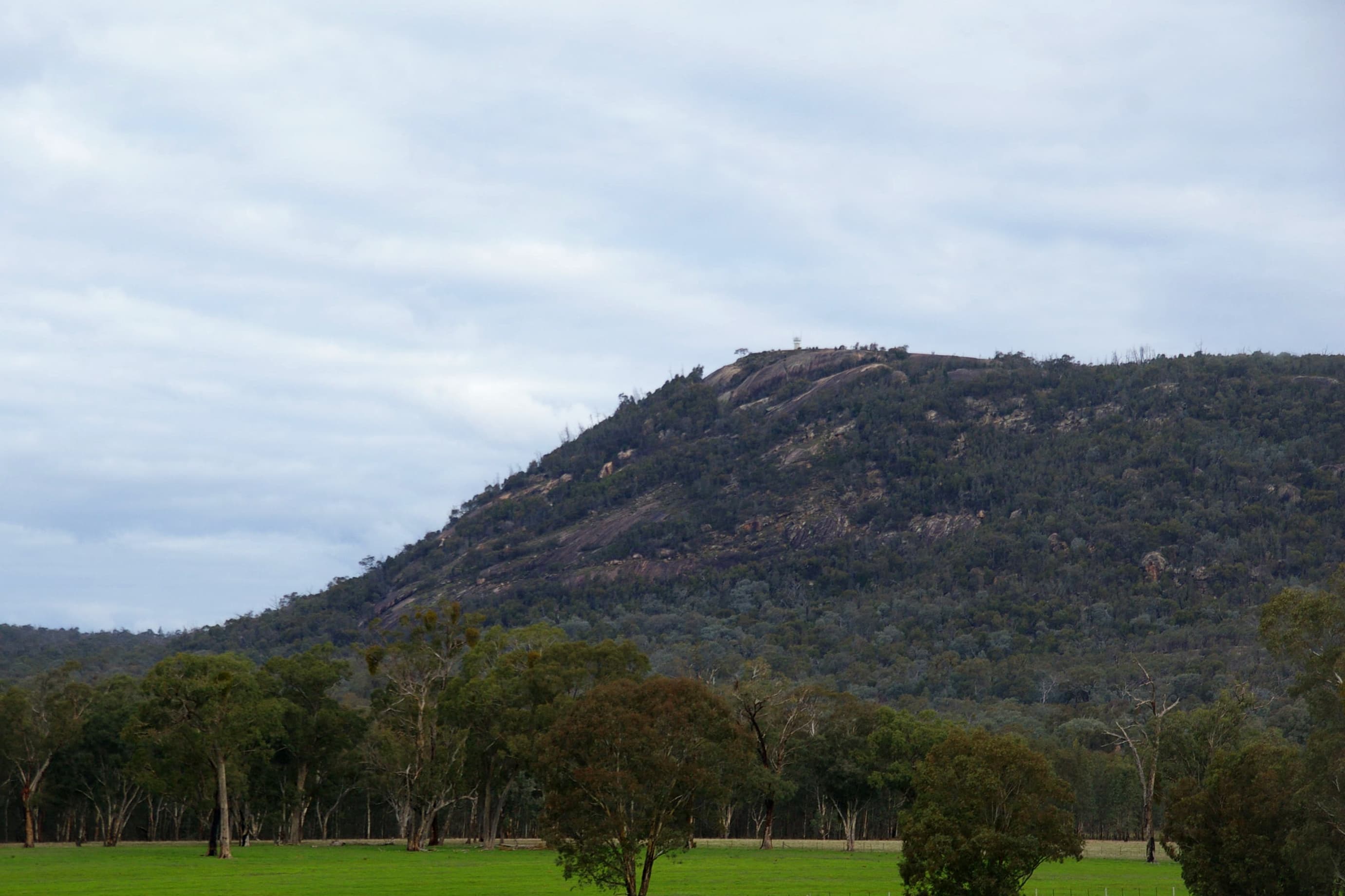 The granite summit of Mount Pilot in the Chiltern–Mt Pilot National Park — pale boulders and outcrops in the foreground, eucalypt forest spreading below across the high country.